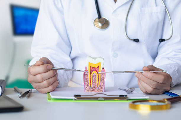 Best Cracked Tooth Emergency Dentist  in Waite Park, MN